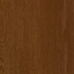 Золотой дуб